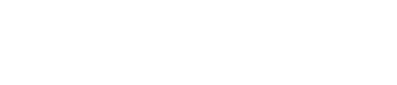 bnp-logo-white