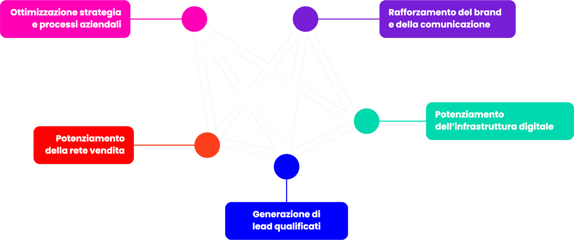 5 sistemi di crescita del Metodo Mirai Bay